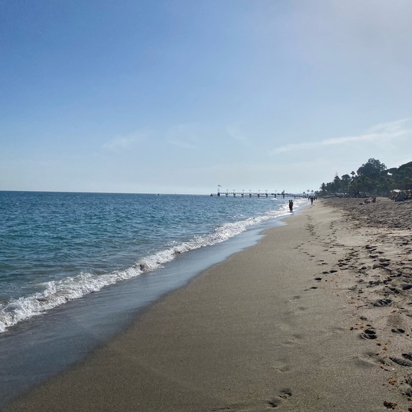 Meet your Posher, Paloma - Picture 1 of 1